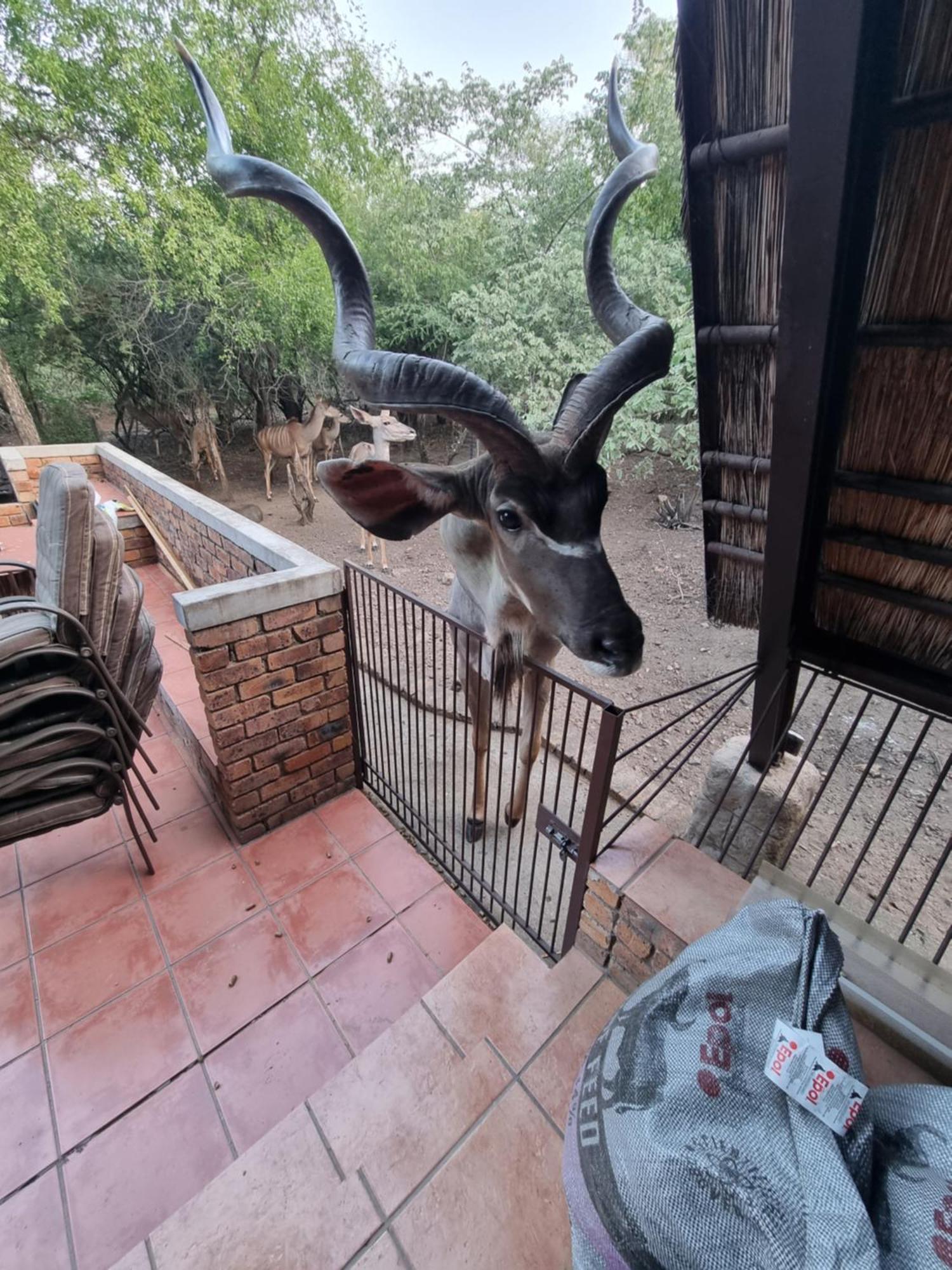 Ratel Retreat Vakantiehuis